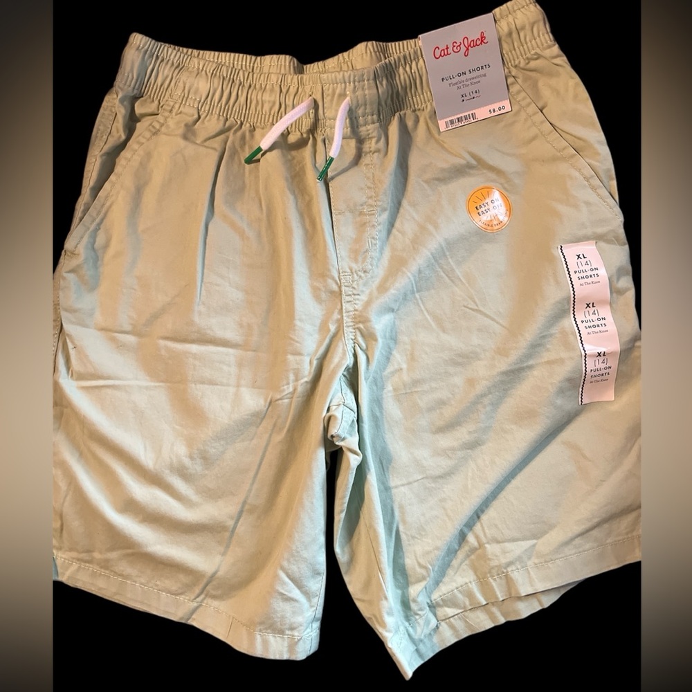 NWT Cat & Jack light green pull on short with drawstring, children’s XL 14
C